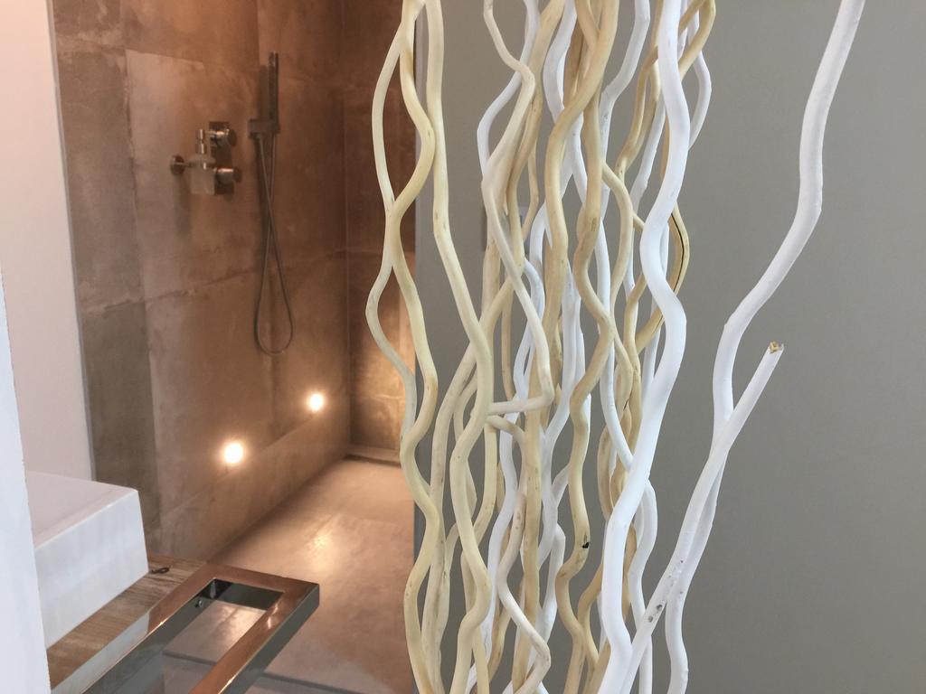 Loft Spa - Cote Chateau. Carcassonne Exteriör bild
