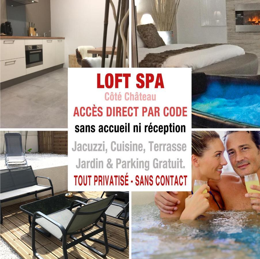 Loft Spa - Cote Chateau. Carcassonne Exteriör bild